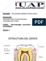 Diapo de Preventiva Estomatologia