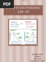 Lab Report 11