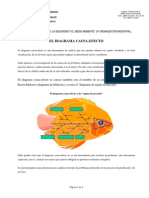 Diagrama Causa Efecto