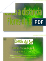 Curso Flores de Bach