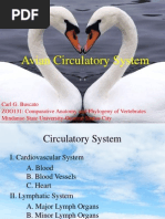 Download Avian Circulatory System by CarlBuscato SN229623209 doc pdf