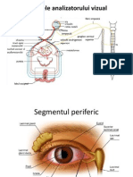 Suport de Curs - Globul Ocular 2