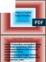 Anatomi & Fisiologi Sistem Perkemihan