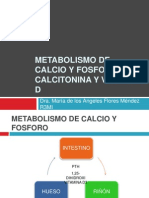 Metabolismo de Calcio y Fosforo, Pth-Calcitonina y