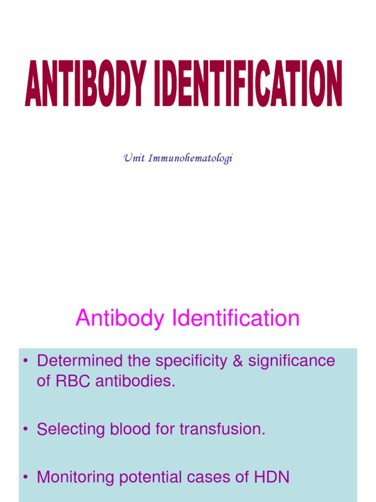 Antibody Identification Antibody Blood Transfusion