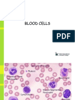 Blood Cells