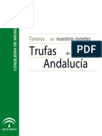 Trufas de Andalucia