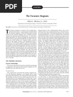 The Foramen Magnum