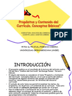 Propositos Y Contenido Del Curriculo