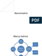 Neuromatrix