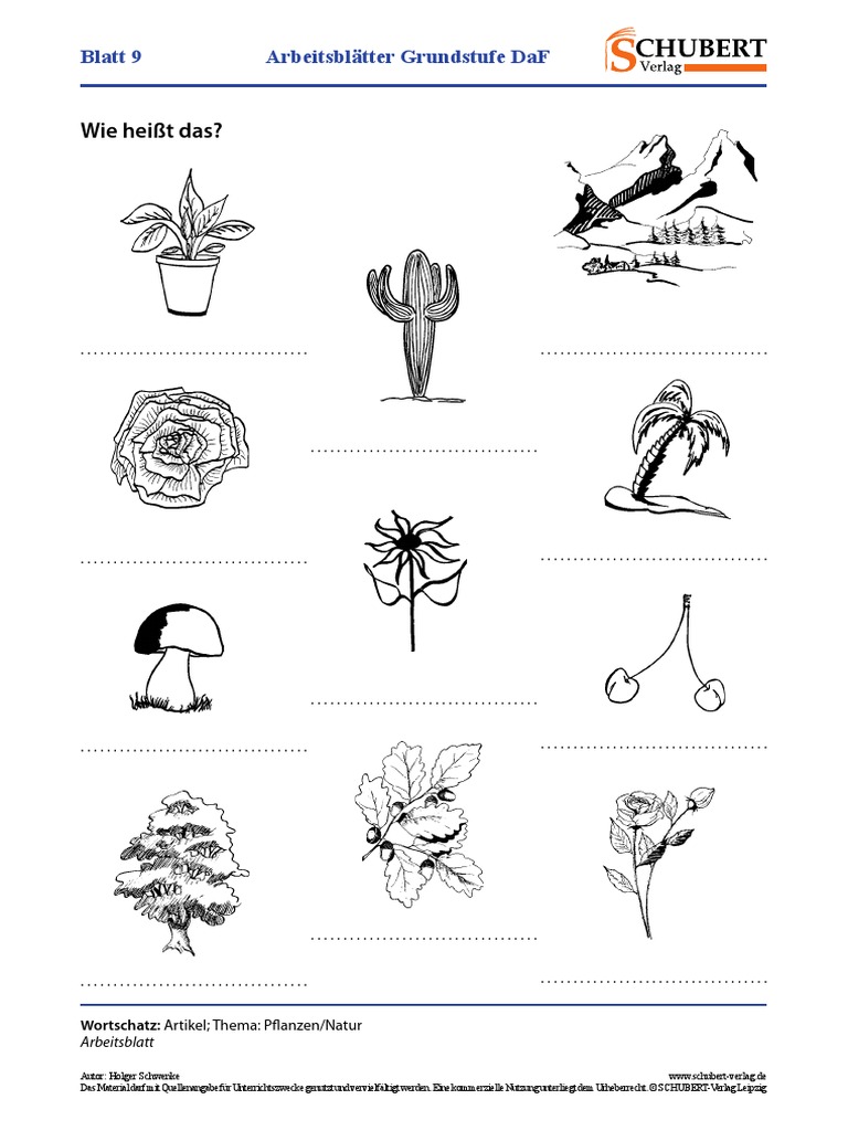 Blatt 9 Arbeitsblatter Grundstufe Daf Pdf