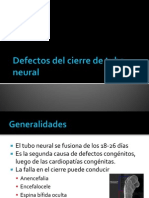 Defectos Cierre Tubo Neural