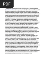 Plan rawaj.docx