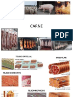 Carne