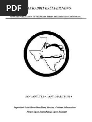 Rabbit show newsletter