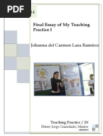 Final Essay Johanna Lara Ramirez