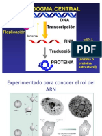 Transcripción