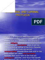 Intestinal and Luminal Protozoa
