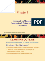 Constraints On Managers: Organizational Culture and The Environment
