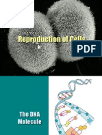 Cell Reproduction1