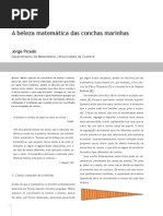 A Beleza Matemática Das Conchas Marinhas