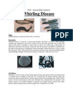 Whirling Disease 2012 Risk Analysis Az