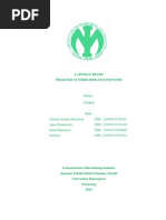 Download Lapress Proposal Praktikum Tempe 2 Juni by Agus Kurniawan SN229755362 doc pdf