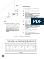 P3 Business Analysis