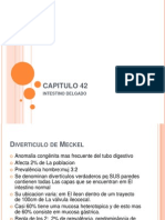 Obstrucción intestinal delgado: causas, diagnóstico y tratamiento