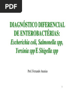 Diagnóstico enterobactérias