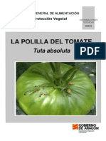 Hojas Informativas Polilla Tomate 2010