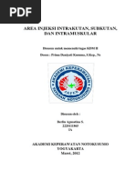 Download Area Injeksi Intrakutan Subkutan Dan Intramuskular - Kdm II b Prima by Berlin Aogustin SN229795728 doc pdf