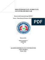 Area Injeksi Intrakutan, Subkutan, Dan Intramuskular - KDM II (B. Prima)