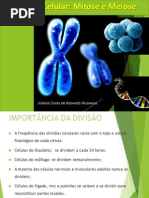 Aula 2 Mitose_e_Meiose (1)