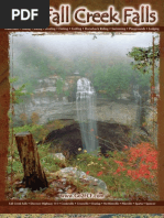 Download Fall Creek Falls Visitor Guide 2010 by Dale Hollow Marketing Group SN22981059 doc pdf