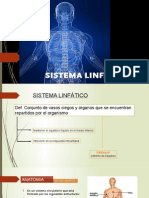 Sistema Linfático