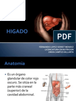 anatomiayfisiologiadelhigado-120217114909-phpapp02