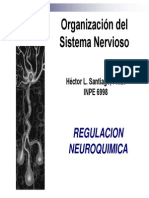  Sistema Nervioso