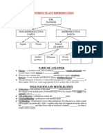 Flower Plant Reproduction Process