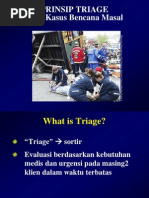 Download Prinsip Triage dalam keperawatan gadar by Jackie Dale SN229837206 doc pdf