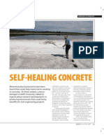 Self-Healing Concrete: Ingenia About Research Developments in