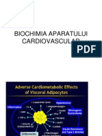 Cardiovascular An3