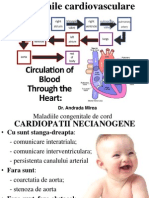 Afectiunile Cardiovasculare