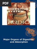 Digestive System Flow Chart | Digestion | Human Digestive System