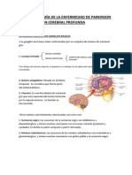 Neuroanatomía Parkinson