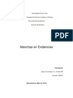 Manchas en Evidencias