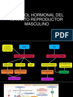 Control Hormonal Del Aparato Reproductor Masculino