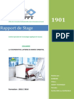 Rapport de Stage Barbare