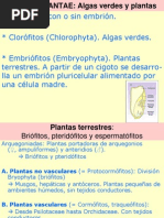Sistema Del Reino Vegetal Flora II 2013