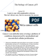 Lecture #10. the Biology of Cancer, p53